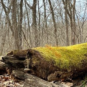 Meet your Posher, Chrissy